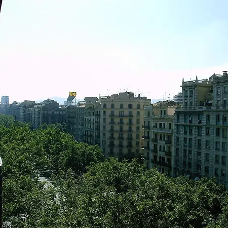 The Barcelona
